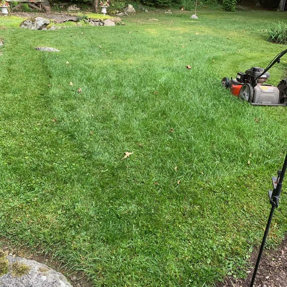 Meet your Posher, Lass (Copy) - Picture 5 of 12